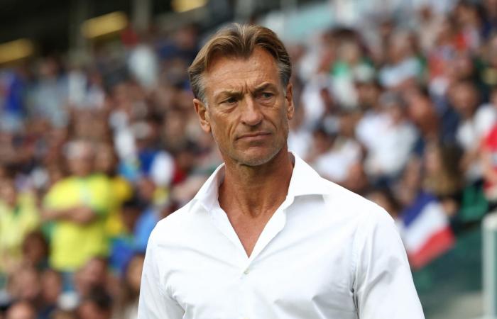 belbalady هيرفي رينارد يعود لتدريب هذا المنتخب الإفريقي