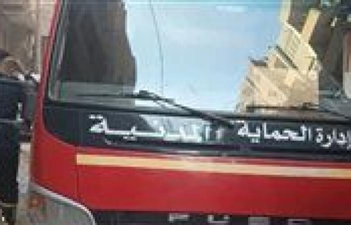 بالبلدي: السيطرة
      على
      حريق
      مفاجئ
      داخل
      مستشفى
      أبو
      العزايم
      بالتجمع
