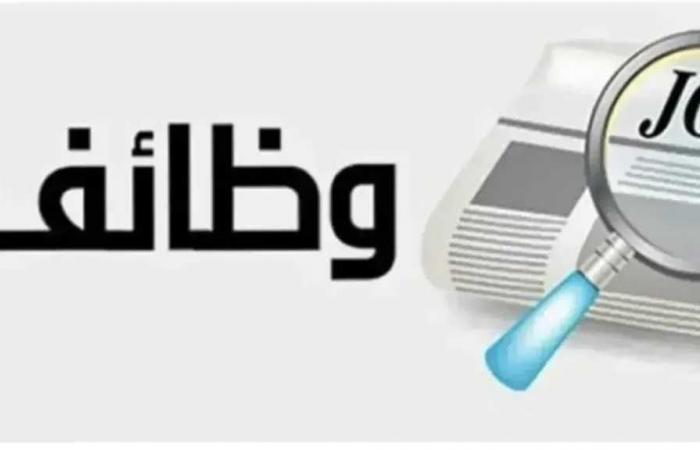 3070
      فرصة
      عمل
      جديدة
      بالقطاع
      الخاص..
      وظائف
      برواتب
      تصل
      إلى
      9500
      جنيه