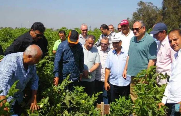رئيس
      «البحوث
      الزراعية»
      يتفقد
      محطة
      بحوث
      الجميزة
      لمتابعة
      البرامج
      البحثية
      والإنتاجية
      المختلفة