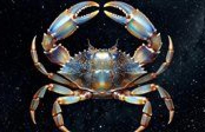 بالبلدي: حظك
      اليوم
      برج
      السرطان
      الثلاثاء
      11
      أغسطس
      2026..
      موقف
      بسيط
      يختبر
      حدود
      صبرك