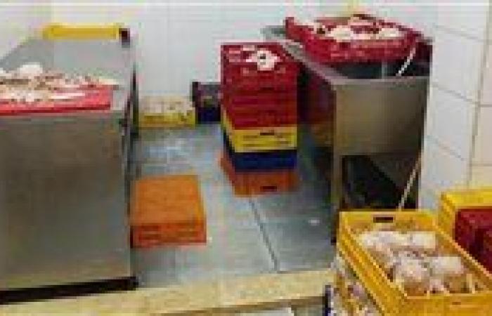 بالبلدي: محافظ
      المنيا
      يوجه
      بتكثيف
      الرقابة
      على
      الأسواق
      وضبط
      السلع
      غير
      الصالحة