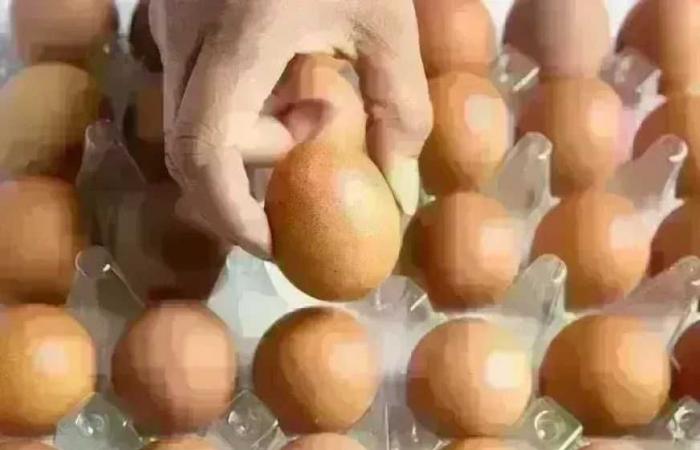 سعر
      كرتونة
      البيض
      في
      بورصة
      الدواجن
      وللمستهلك
      اليوم
      الأربعاء
      19
      أغسطس
      2026