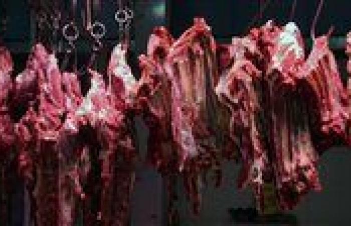 بالبلدي: أسعار
      اللحوم
      اليوم
      الأربعاء
      19
      -
      8
      -
      2026