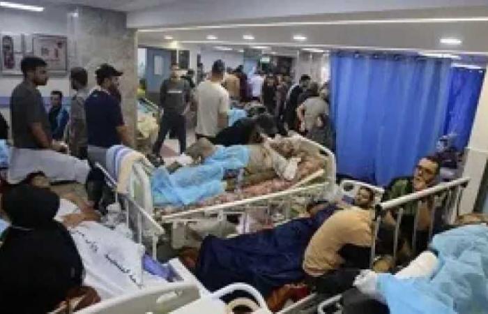صحة
      غزة:
      المنظومة
      الصحية
      بالقطاع
      تواجه
      واقعا
      مأساويا
      وسط
      شح
      الاحتياجات
      الطبية