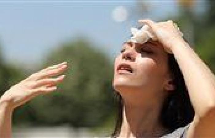 بالبلدي: طقس
      شديد
      الحرارة
      والرطوبة
      اليوم..
      الأرصاد
      تكشف
      درجات
      الحرارة
      المتوقعة
      بالمحافظات