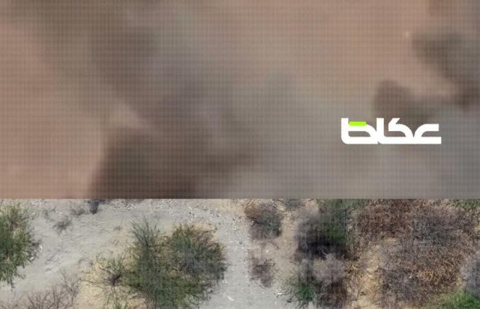 بالبلدي: كيف نجح الجيش اليمني في إعادة تأهيل قواته وإفشال مخططات الحوثي التصعيدية؟