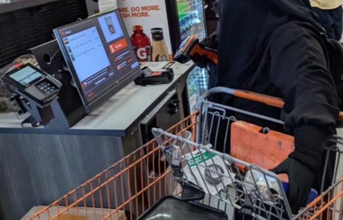 بالبلدي: "بايعت داعش".. القبض على أمريكية "خططت لتفجير برلمان نيويورك ثم مهاجمة ترامب"