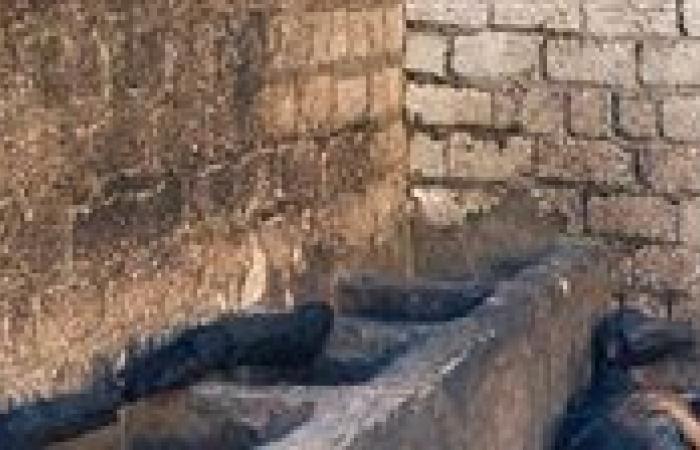 بالبلدي : نفوق
      عدد
      من
      الأغنام
      إثر
      نشوب
      حريق
      بحوش
      مواشٍ
      في
      قرية
      الشغب
      بالأقصر