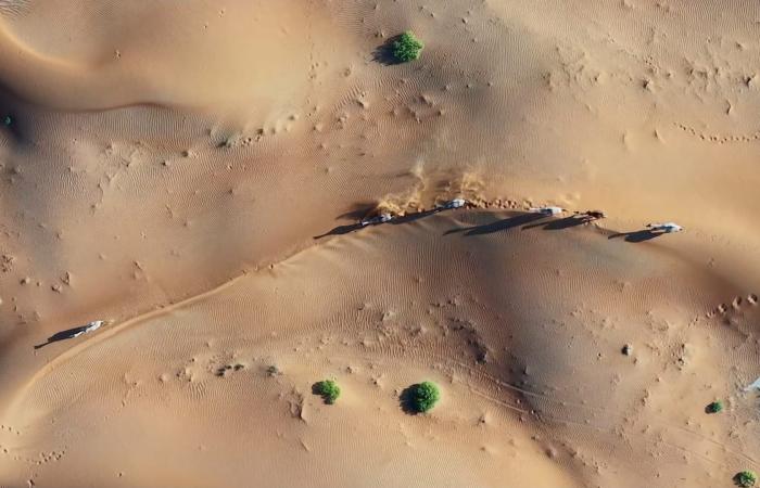 بالبلدي: ليست سيارات.. ما سرّ هذه الأجسام المتحركة بقلب صحراء الربع الخالي؟