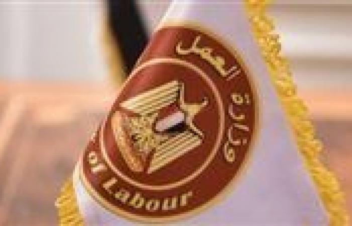 بالبلدي : وزير
      العمل
      يعلن
      1489
      فرصة
      عمل
      جديدة
      في
      13
      محافظة
      فى
      21
      شركة
