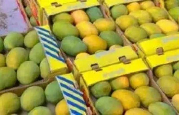 أسعار
      المانجو
      اليوم..
      العويس
      والفص
      يتصدران
      الارتفاع
      وسعر
      الكيلو
      يصل
      إلى
      155
      جنيهًا