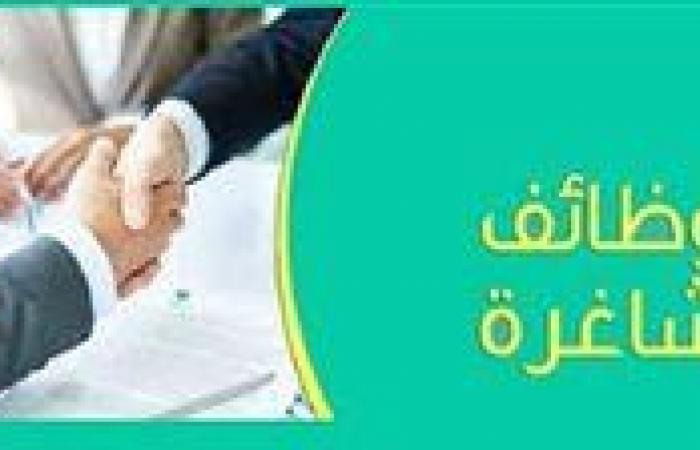 بالبلدي: برواتب
      تصل
      إلى
      18
      ألف
      جنيه..
      وظائف
      شاغرة
      في
      التسويق
      والمبيعات
      بشروط
      ومزايا
      متنوعة