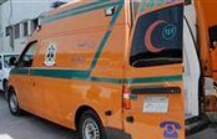 بالبلدي : قنا…
      إصابة
      سيدتين
      وفتاة
      بطلقات
      نارية
      في
      دشنا
