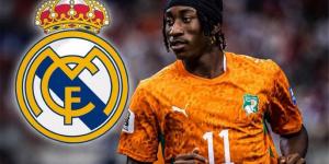 بالبلدي : مفاجأة
غير
متوقعة
بشأن
صفقة
انتقال
يان
ديوماندي
إلى
ريال
مدريد