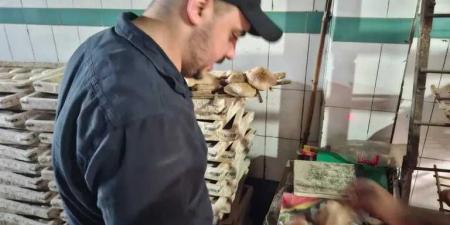 43
محضرًا
خلال
حملات
رقابية
مكثفة
بقري
ومدينة
طنطا
و
كفر
الزيات
