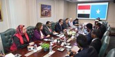 بالبلدي: وزير
الصحة
يلتقي
نظيره
السوداني..
تعرف
على
التفاصيل