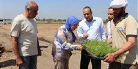 بالبلدي : جامعة
بنها
تبدأ
موسم
أبحاث
الأرز
لإنتاج
أصناف
تتحمل
التغيرات
المناخية