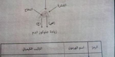 بالبلدي : حل
امتحان
احياء
تالته
ثانوي
أزهر
2026
علمي
..
الإجابات
الكاملة