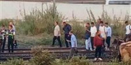 بالبلدي: مصرع
      شخص
      في
      حادث
      تصادم
      قطار
      في
      أبو
      النمرس