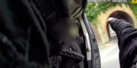 بالبلدي: كأنه مشهد "أكشن".. سائق شاحنة صغيرة يُقلّ ضابطًا مدججًا بالسلاح لمطاردة مشتبه به