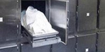 بالبلدي : مصرع
      صيدلي
      إثر
      سقوطه
      من
      علو
      في
      شارع
      حلمي
      الملط
      ببني
      سويف