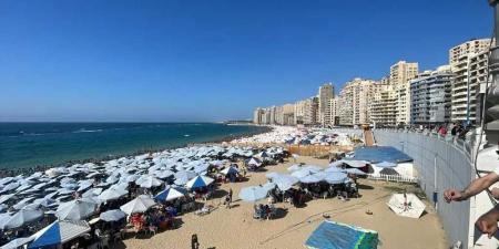 محافظ
      الإسكندرية:
      إقبال
      كثيف
      على
      شواطئ
      المدينة..القطاع
      الشرقي
      يسجل
      100%
      إشغال
      والغربي
      يقترب
      من
      90%