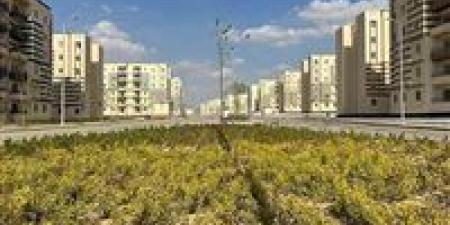 بالبلدي: الإسكان:
      متابعة
      مكثفة
      لمشروعات
      المدن
      الجديدة
      وتسريع
      معدلات
      التنفيذ