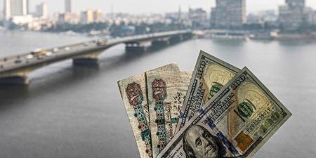 بالبلدي: مصر: الجنيه يواصل التعافي مقابل الدولار مع تحسن موارد النقد الأجنبي