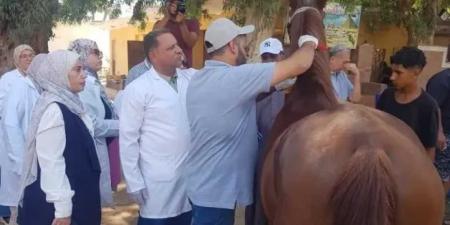 استعدادًا
لبطولة
العالم
للفروسية..
«الخدمات
البيطرية»
تبدأ
ترقيم
وتسجيل
خيول
الأهرامات
بالشرائح
الإلكترونية
