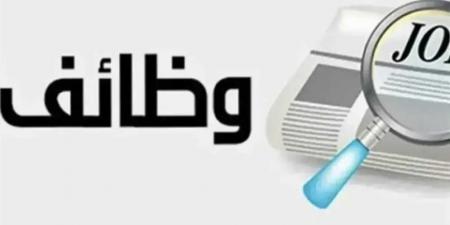 وزارة
العمل
تعلن
توفير
1100
فرصة
عمل
جديدة
بالقطاع
الخاص..
وظائف
للفنيين
والمهندسين
والسائقين