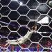 بالبلدي : كأس
      العالم
      2026..
      منتخب
      هايتي
      يضرب
      المغرب
      بالهدف
      الثاني
      «فيديو»