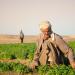 بالبلدي : سيكم
تحقق
نموًا
12%
في
2025..
الصادرات
تمثل
51%
من
المبيعات
وشبكة
المزارعين
تتجاوز
40
ألفًا