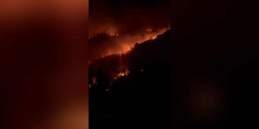 بالبلدي: حرائق الغابات تجتاح مناطق بالولايات المتحدة.. شاهد ما تسببت به
