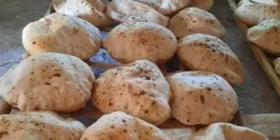 بعد
      التحول
      إلى
      الدعم
      النقدي..
      هل
      يتغير
      سعر
      رغيف
      الخبز
      على
      بطاقة
      التموين؟