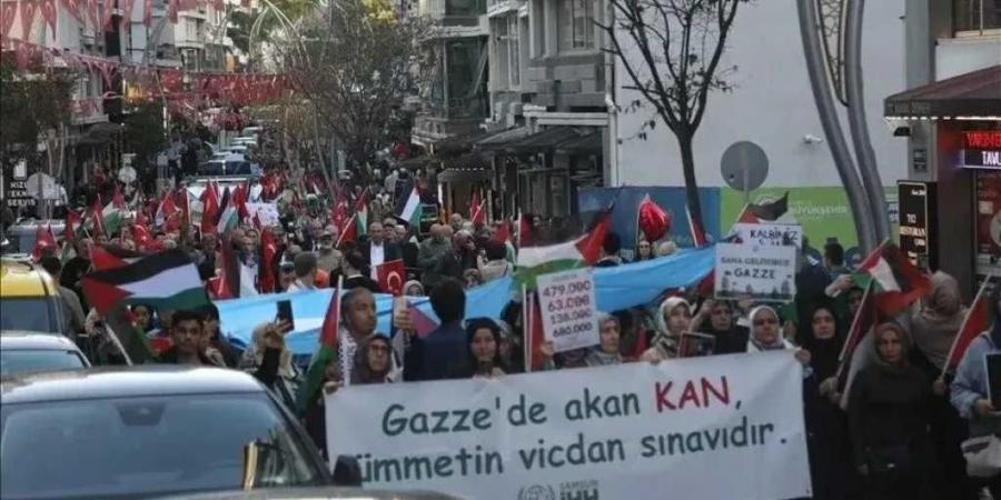 قافلة
      فلسطين
      تعلن
      انطلاقها
      من
      فرنسا
      أواخر
      يوليو
      لكسر
      الحصار
      عن
      غزة