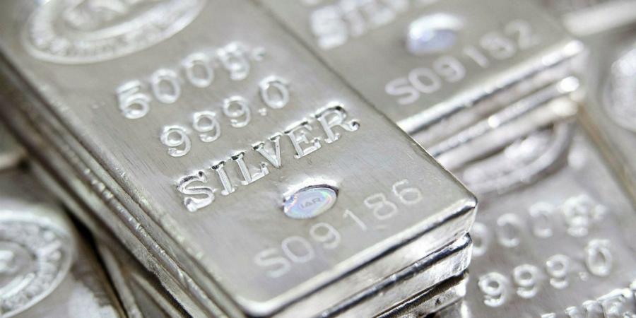 بالبلدي : أسعار
      سبائك
      الفضة
      في
      عمان
      اليوم
      بالريال
      العماني..
      تحديث
      الخميس
      9
      يوليو
      2026