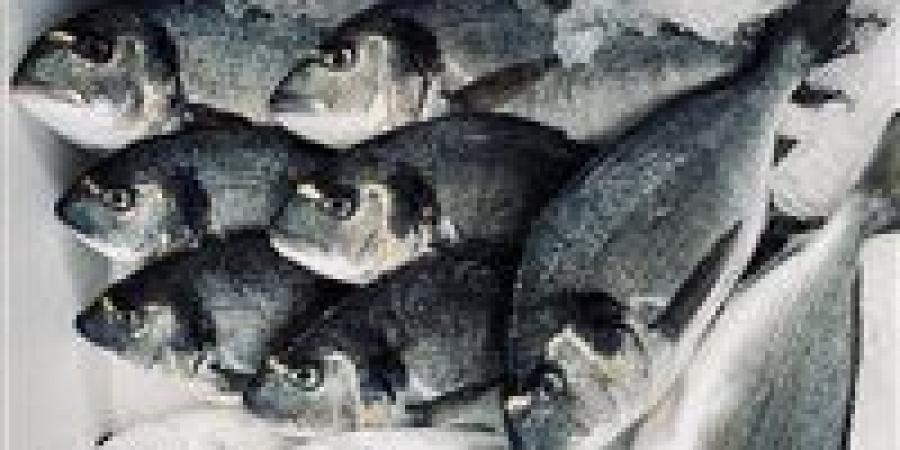 بالبلدي: أسعار
      السمك
      اليوم
      الجمعة
      31
      -
      7
      -
      2026